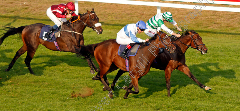 Natural-Path-0004 
 NATURAL PATH (right, Tom Marquand) beats SPIRITED GUEST (centre) in The Moulton Nurseries Handicap
Yarmouth 16 Sep 2021 - Pic Steven Cargill / Racingfotos.com