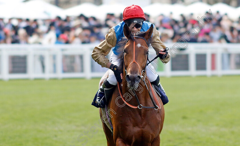 Haatem-0006 
 HAATEM (lJames Doyle) winner of The Jersey Stakes
Royal Ascot 22 Jun 2024 - Pic Steven Cargill / Racingfotos.com