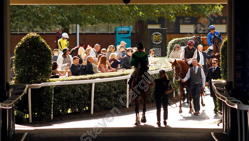 Kyprios-0008 
 KYPRIOS (Ryan Moore) before winning The Qipco British Champions Long Distance Cup
Ascot 19 Oct 2024 - Pic Steven Cargill / Racingfotos.com