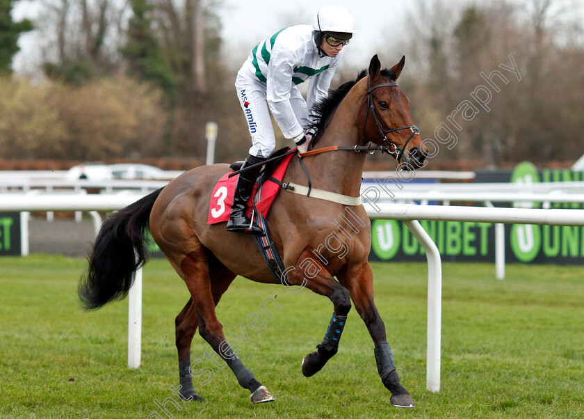 Casse-Tete-0001 
 CASSE TETE (Joshua Moore)
Kempton 12 Jan 2019 - Pic Steven Cargill / Racingfotos.com