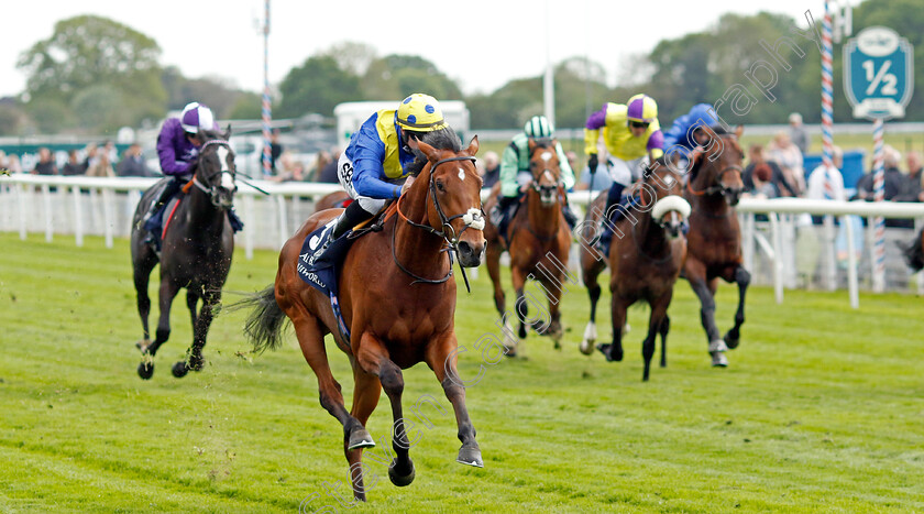 Desert-Crown-0002 
 DESERT CROWN (Richard Kingscote) wins The Al Basti Equiworld Dubai Dante Stakes
York 12 May 2022 - Pic Steven Cargill / Racingfotos.com