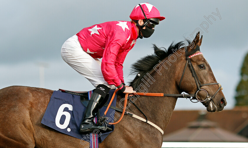 Sand-In-My-Shoes-0002 
 SAND IN MY SHOES (Thomas Greatrex)
Lingfield 29 Jan 2021 - Pic Steven Cargill / Racingfotos.com