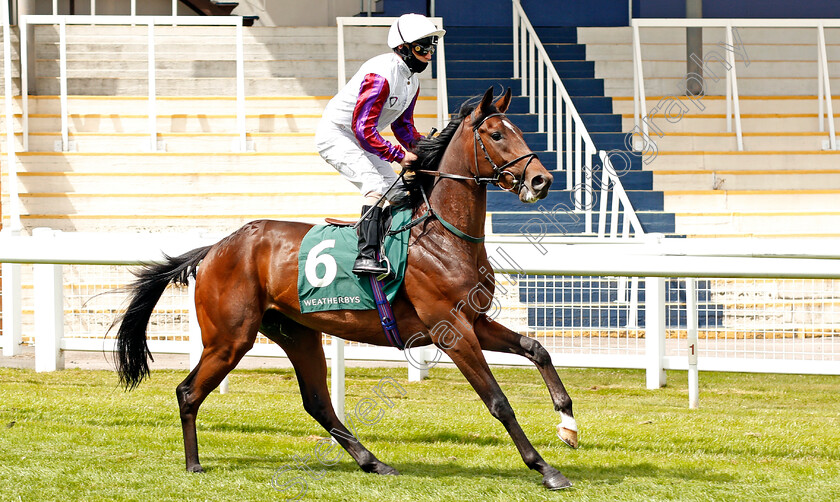 Disco-Beats-0001 
 DISCO BEATS (Joe Fanning)
Newbury 19 Jul 2020 - Pic Steven Cargill / Racingfotos.com