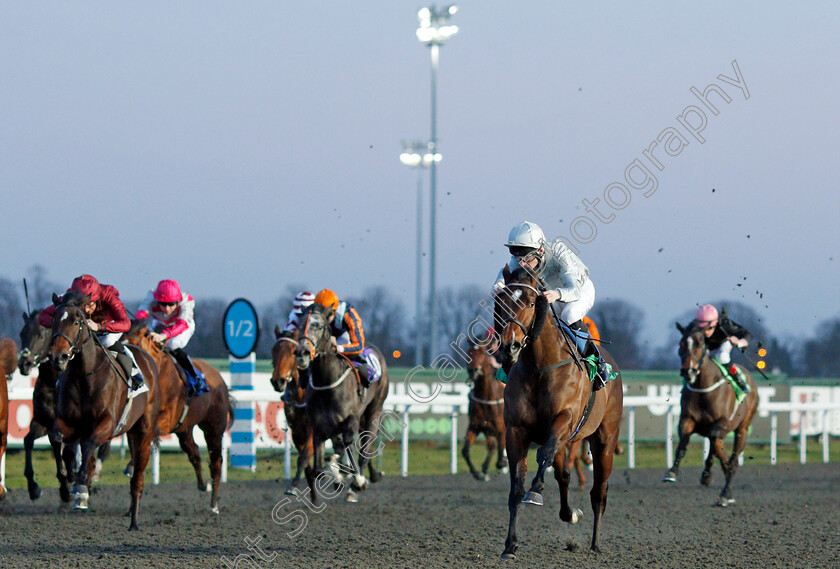 King-Of-Arms-0002 
 KING OF ARMS (Robert Havlin) wins The 32Red On The App Store Maiden Stakes Div1
Kempton 29 Jan 2020 - Pic Steven Cargill / Racingfotos.com