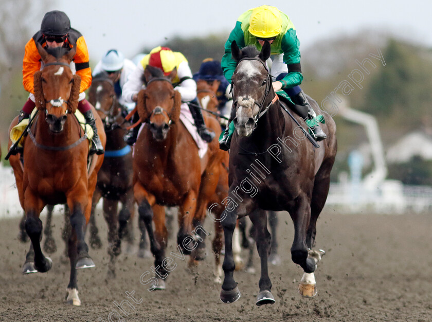 Ferrous-0003 
 FERROUS (David Probert) wins The Virgin Bet Fives Handicap
Kempton 6 Apr 2024 - Pic Steven Cargill / Racingfotos.com