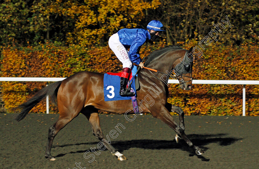 Electrical-Storm-0001 
 ELECTRICAL STORM (Cieren Fallon)
Kempton 11 Nov 2020 - Pic Steven Cargill / Racingfotos.com