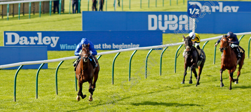 Ancient-Wisdom-0003 
 ANCIENT WISDOM (William Buick) wins The Emirates Autumn Stakes
Newmarket 14 Oct 2023 - Pic Steven Cargill / Racingfotos.com