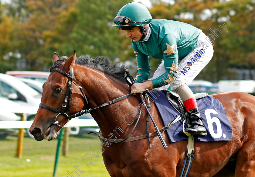 Jawan-0001 
 JAWAN (Andrea Atzeni) Yarmouth 20 Sep 2017 - Pic Steven Cargill / Racingfotos.com