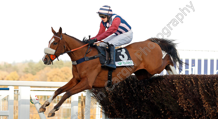 Abbreviate-0002 
 ABBREVIATE (David Bass) Ascot 25 Nov 2017 - Pic Steven Cargill / Racingfotos.com