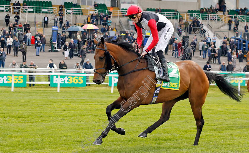 Poker-Face-0001 
 POKER FACE (James Doyle)
Sandown 26 Apr 2024 - Pic Steven Cargill / Racingfotos.com