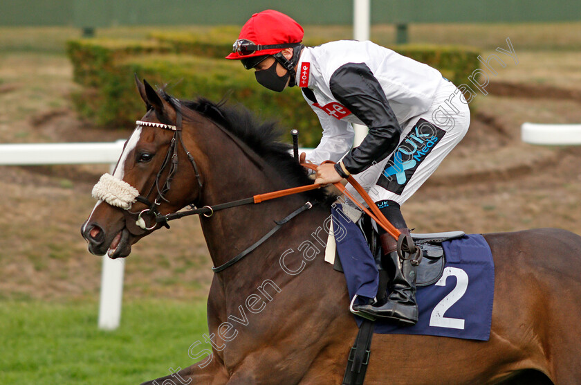 Little-Becky-0001 
 LITTLE BECKY (Stevie Donohoe)
Yarmouth 28 Jul 2020 - Pic Steven Cargill / Racingfotos.com