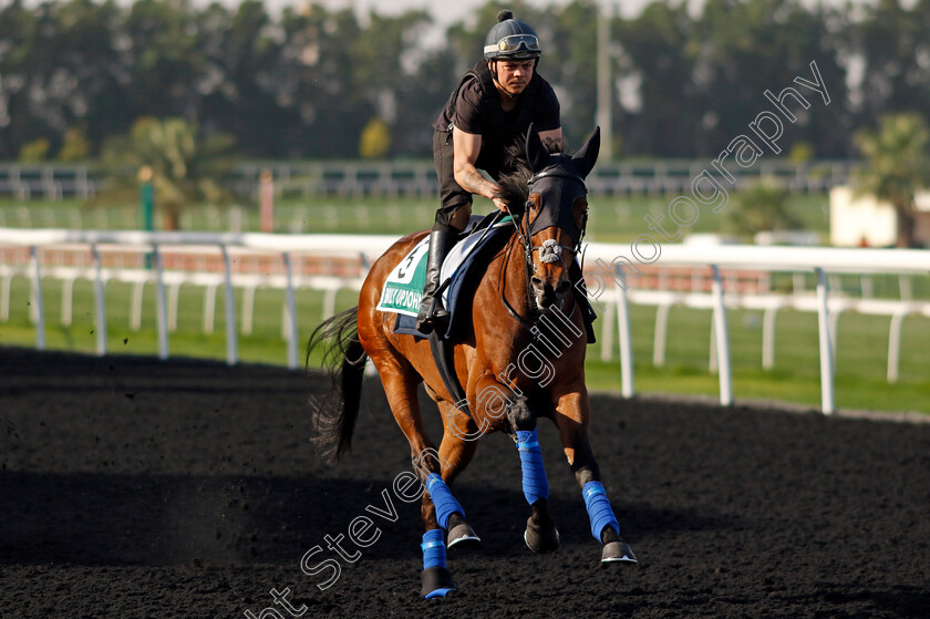 Emily-Upjohn-0003 
 EMILY UPJOHN training for The Sheema Classic
Meydan Dubai 27 Mar 2024 - Pic Steven Cargill / Racingfotos.com