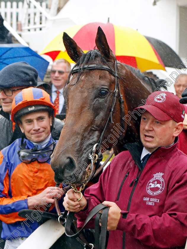 Paddington-0013 
 PADDINGTON (Ryan Moore) winner of The Qatar Sussex Stakes
Goodwood 2 Aug 2023 - Pic Steven Cargill / Racingfotos.com