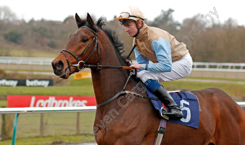 Rockmore-0001 
 ROCKMORE (Rob Hornby)
Lingfield 4 Mar 2020 - Pic Steven Cargill / Racingfotos.com