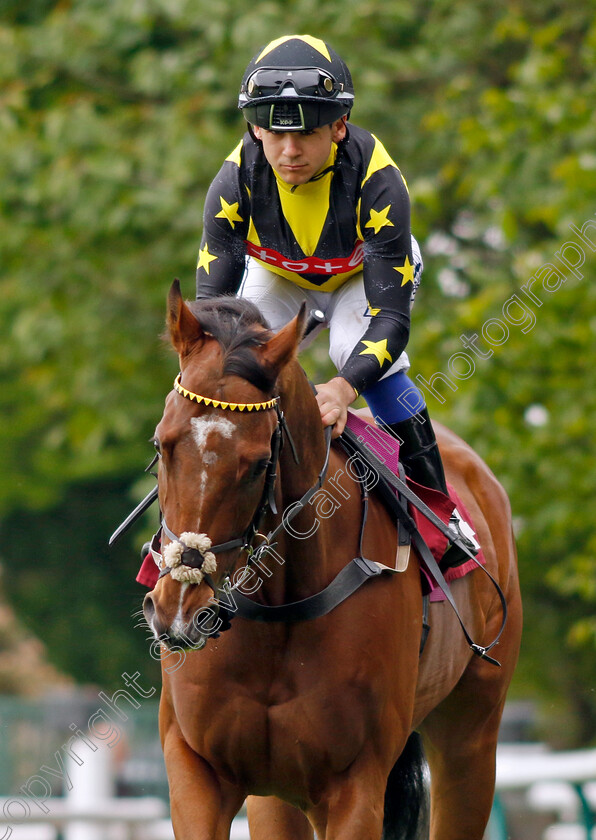 Existent-0002 
 EXISTENT (Marco Ghiani)
Haydock 21 May 2022 - Pic Steven Cargill / Racingfotos.com