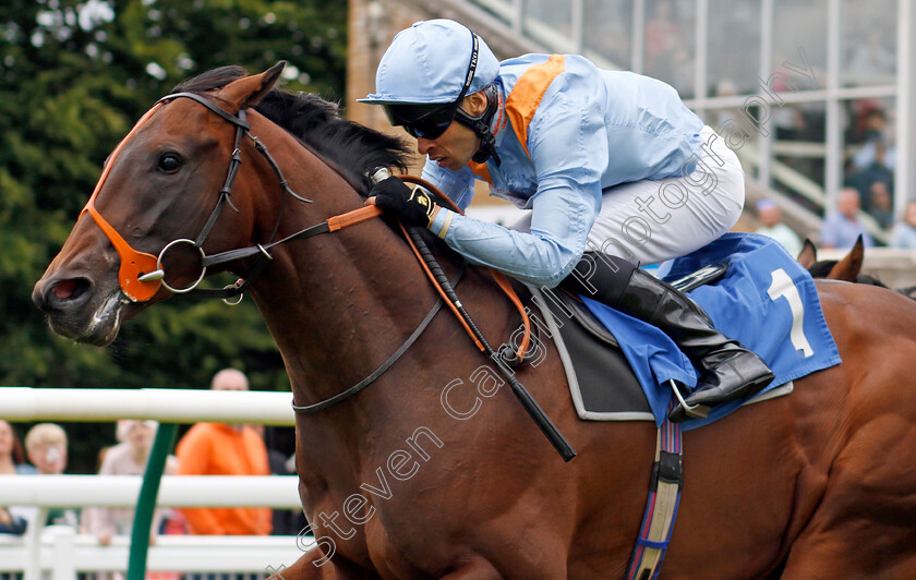 An-Outlaw s-Grace-0001 
 AN OUTLAW'S GRACE (Sean Levey) wins The Byerley Stud Peter & Virginia Walwyn Memorial British EBF Novice Stakes
Salisbury 16 Jun 2024 - pic Steven Cargill / Racingfotos.com