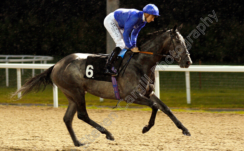 Welsh-Lord-0001 
 WELSH LORD (Hector Crouch) before winning The Natta Building Company Ltd Novice Stakes
Chelmsford 6 Sep 2018 - Pic Steven Cargill / Racingfotos.com