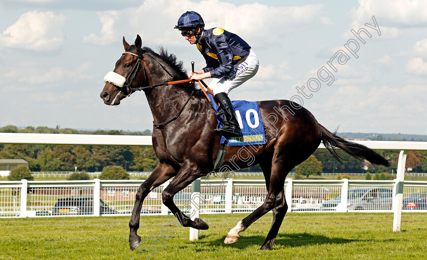 Across-Dubai-0002 
 ACROSS DUBAI (Pat Cosgrave) Sandown 2 Sep 2017 - Pic Steven Cargill / Racingfotos.com