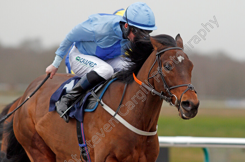 Battle-Of-Marathon-0005 
 BATTLE OF MARATHON (Darragh Keenan) wins The Betway Handicap
Lingfield 14 Feb 2020 - Pic Steven Cargill / Racingfotos.com