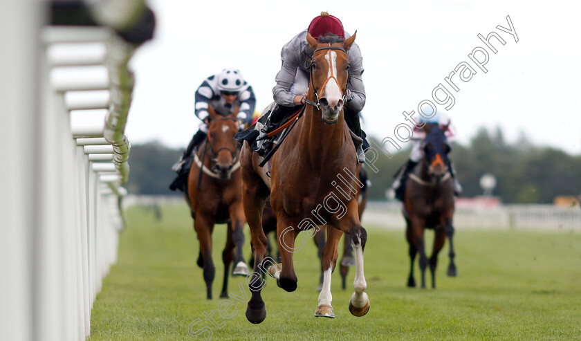 Qaysar-0003 
 QAYSAR (James Doyle) wins The Melbourne 10 Handicap
Newbury 6 Aug 2019 - Pic Steven Cargill / Racingfotos.com