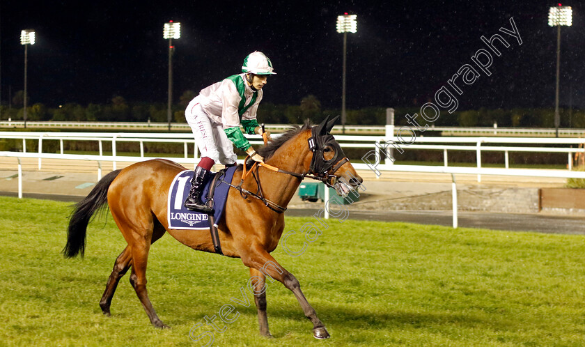 Priyanka-0001 
 PRIYANKA (Antonio Fresu)
Meydan 27 Jan 2023 - Pic Steven Cargill / Racingfotos.com