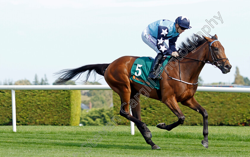 Kitty-Rose-0011 
 KITTY ROSE (Billy Lee) winner of The Ballylinch Stud Irish EBF Ingabelle Stakes
Leopardstown 9 Sep 2023 - Pic Steven Cargill / Racingfotos.com