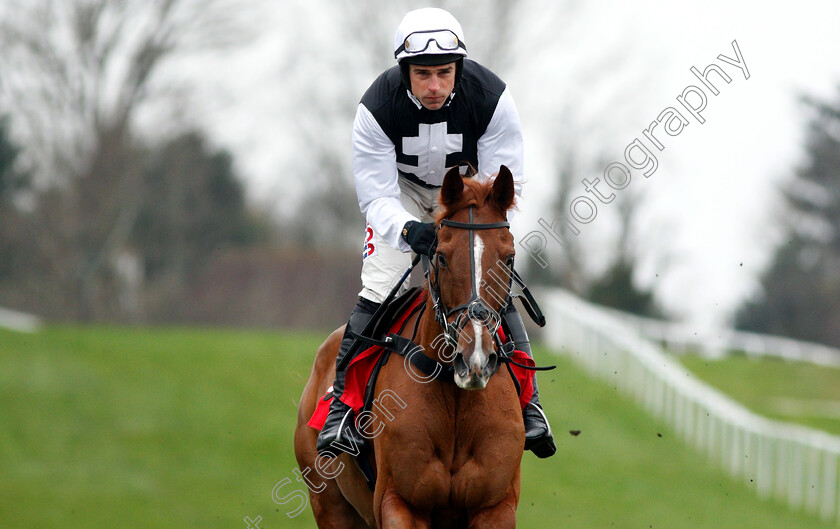 Yorkist-0001 
 YORKIST (Harry Skelton)
Sandown 5 Jan 2019 - Pic Steven Cargill / Racingfotos.com