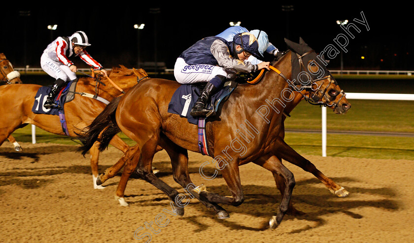 Plansina-0004 
 PLANSINA (David Probert) wins The Play 4 To Score At Betway Handicap Div2
Wolverhampton 12 Mar 2021 - Pic Steven Cargill / Racingfotos.com