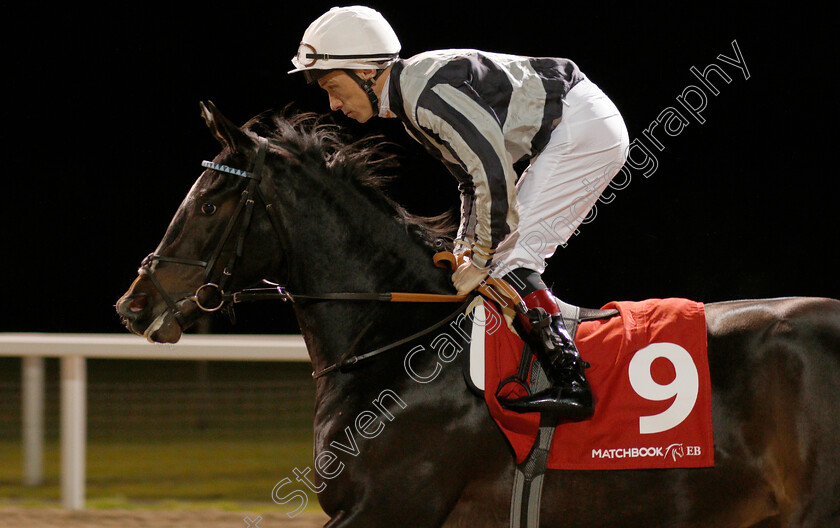 Sparkling-Or-Still-0002 
 SPARKLING OR STILL (Shane Kelly)
Chelmsford 28 Nov 2019 - Pic Steven Cargill / Racingfotos.com