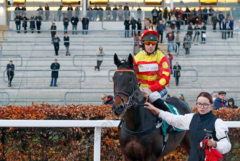 Block-Rockin-Beats-0002 
 BLOCK ROCKIN BEATS (Gavin Sheehan)
Cheltenham 17 Nov 2024 - Pic Steven Cargill / Racingfotos.com