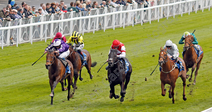 Surely-Not-0004 
 SURELY NOT (left, William Buick) beats SELF ACLAIM (centre) in the Deepbridge Capital Handicap
Chester 11 May 2023 - Pic Steven Cargill / Racingfotos.com