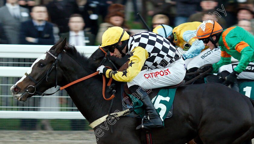 The-Glancing-Queen-0006 
 THE GLANCING QUEEN (Wayne Hutchinson) wins The Karndean Mares Standard Open National Hunt Flat Race
Cheltenham 17 Nov 2018 - Pic Steven Cargill / Racingfotos.com