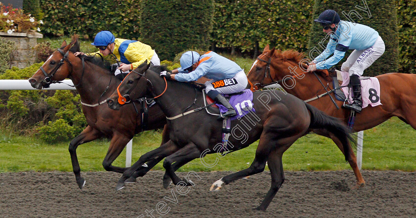 Moolazim-0003 
 MOOLAZIM (left, Daniel Muscutt) beats VENTURA BLUES (10) in The ROA Racing Post Owners Jackpot Handicap Kempton 25 Sep 2017 - Pic Steven Cargill / Racingfotos.comdivision down the back straight in The ROA Racing Post Owners Jackpot Handicap Kempton 25 Sep 2017 - Pic Steven Cargill / Racingfotos.com