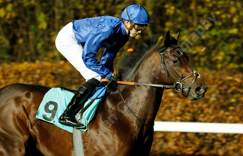 Zakouski-0002 
 ZAKOUSKI (James Doyle) winner of The 32Red Casino ebfstallions.com Novice Stakes Div1
Kempton 21 Nov 2018 - Pic Steven Cargill / Racingfotos.com