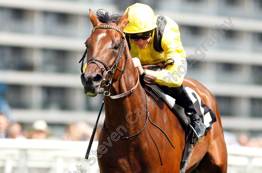 Boerhan-0003 
 BOERHAN (James Doyle) wins The Don Deadman Memorial EBF Maiden Stakes Div2
Newbury 17 Aug 2018 - Pic Steven Cargill / Racingfotos.com