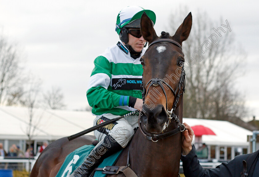 Farne 
 FARNE (Gavin Sheehan)
Warwick 9 Dec 2021 - Pic Steven Cargill / Racingfotos.com