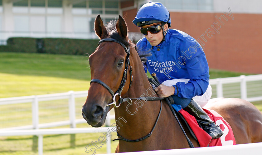 Discovery-Island-0001 
 DISCOVERY ISLAND (William Buick)
Sandown 30 Aug 2019 - Pic Steven Cargill / Racingfotos.com