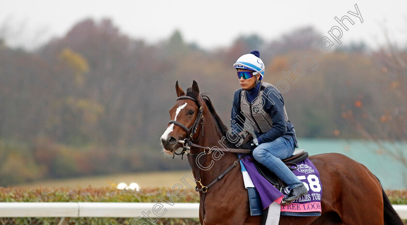 Free-Look-0001 
 FREE LOOK training for the Breeders' Cup Juvenile Fillies Turf
Keeneland, USA 31 Oct 2022 - Pic Steven Cargill / Racingfotos.com