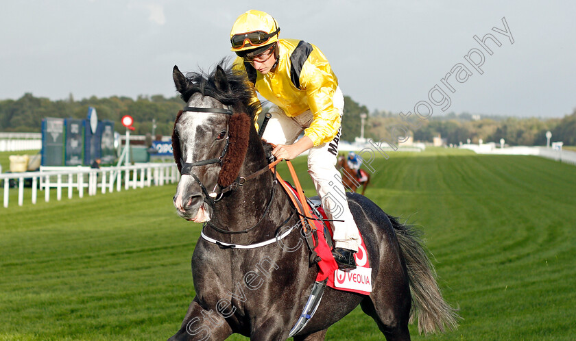 Two-Bids-0001 
 TWO BIDS (Tom Marquand)
Ascot 4 Oct 2019 - Pic Steven Cargill / Racingfotos.com