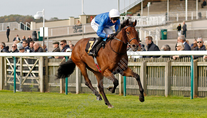 Tremorgio-0003 
 TREMORGIO (James Doyle) wins The Boodles Maiden Stakes
Newmarket 23 Oct 2024 - Pic Steven Cargill / Racingfotos.com