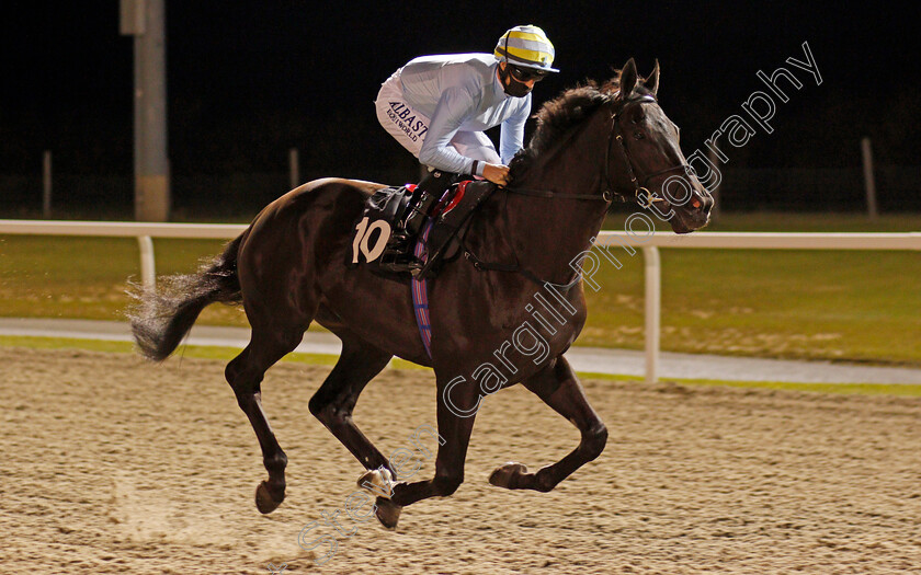 Turquoise-Kingdom-0001 
 TURQUOISE KINGDOM (Jack Mitchell)
Chelmsford 8 Oct 2020 - Pic Steven Cargill / Racingfotos.com