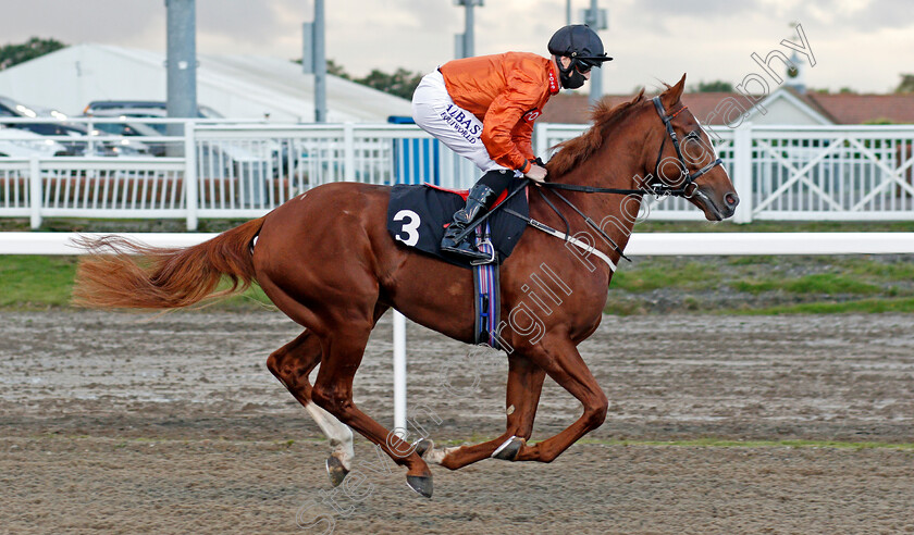 Bague-D Or-0001 
 BAGUE D'OR (Jack Mitchell)
Chelmsford 15 Oct 2020 - Pic Steven Cargill / Racingfotos.com