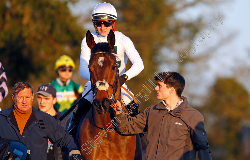 Super-Den-0007 
 SUPER DEN (Tom Marquand) winner of The Spreadex Sports £300 Spread Betting Cashback Handicap
Lingfield 21 Jan 2023 - Pic Steven Cargill / Racingfotos.com