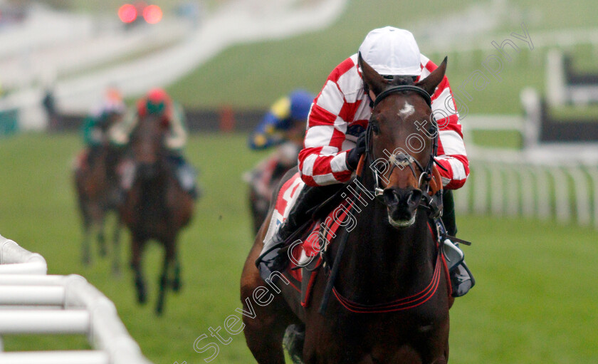 Hang-In-There-0001 
 HANG IN THERE (Adam Wedge) wins The Sky Bet Supreme Trial Novices Hurdle
Cheltenham 17 Nov 2019 - Pic Steven Cargill / Racingfotos.com