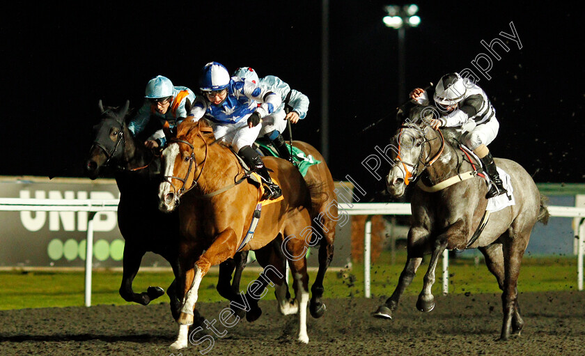 Party-Island-0002 
 PARTY ISLAND (George Bass) beats PRECISION STORM (right) in The Unibet Casino Deposit £10 Get £40 Bonus Handicap
Kempton 3 Feb 2021 - Pic Steven Cargill / Racingfotos.com