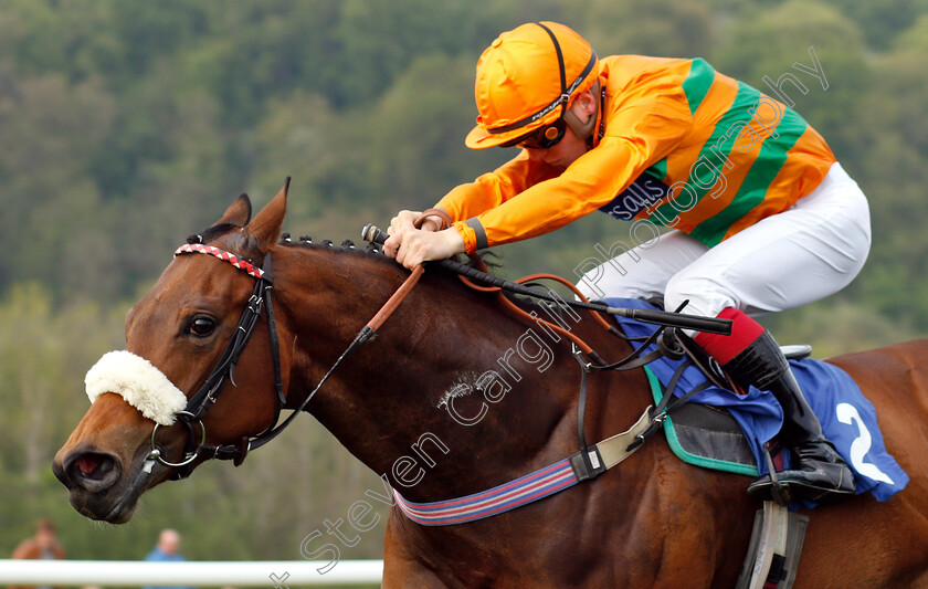 Free-Love-0002 
 FREE LOVE (Theodore Ladd) wins The Racing TV Profits Returned To Racing Handicap
Nottingham 30 Apr 2019 - Pic Steven Cargill / Racingfotos.com