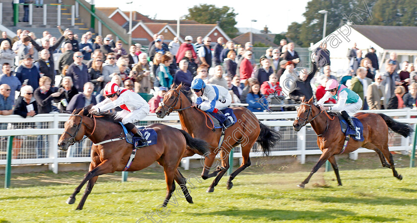 Futuristic-0002 
 FUTURISTIC (Callum Shepherd) wins The Moulton Nurseries Of Acle Novice Stakes
Yarmouth 17 Sep 2019 - Pic Steven Cargill / Racingfotos.com