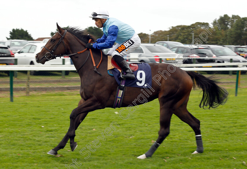 Miss-Gradenko-0001 
 MISS GRADENKO (Silvestre De Sousa)
Yarmouth 20 Sep 2018 - Pic Steven Cargill / Racingfotos.com