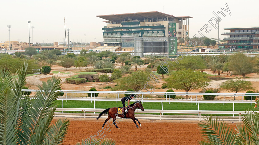 The-Foxes-0002 
 THE FOXES training for The Neom Turf Cup
King Abdulaziz Racetrack, Saudi Arabia 22 Feb 2024 - Pic Steven Cargill / Racingfotos.com