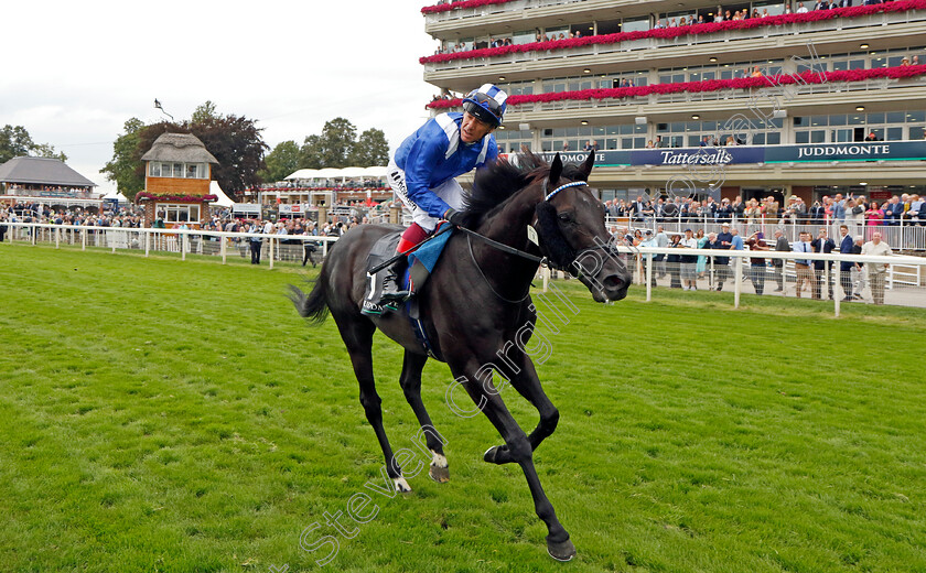 Mostahdaf-0012 
 MOSTAHDAF (Frankie Dettori) winner of The Juddmonte International Stakes
York 23 Aug 2023 - Pic Steven Cargill / Racingfotos.com